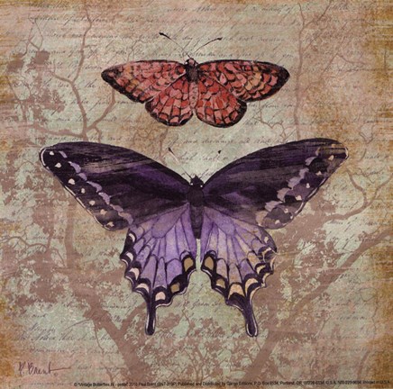 Framed Vintage Butterflies IV - petite Print