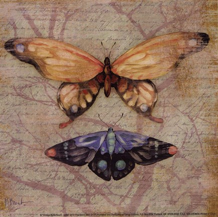 Framed Vintage Butterflies II - petite Print