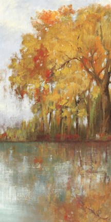 Framed Forest Reflection I Print