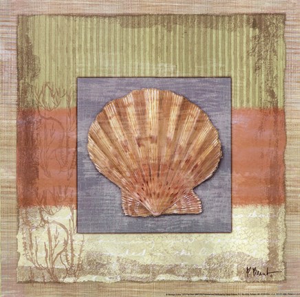 Framed Montego Scallop Print