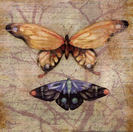 Framed Vintage Butterflies II Print
