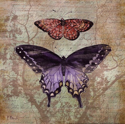 Framed Vintage Butterflies IV Print