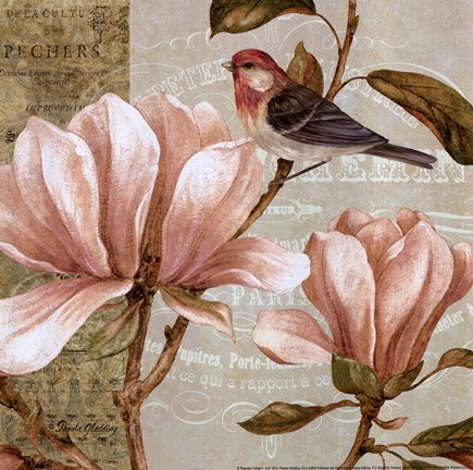 Framed Magnolia Collage I - Mini Print