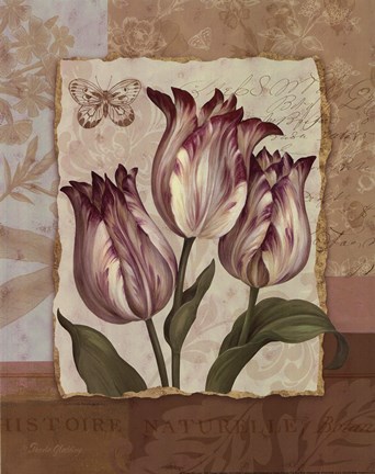 Framed Flower Trio - mini Print