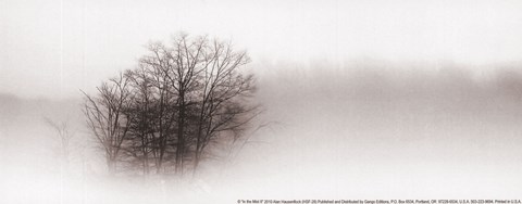Framed In the Mist II Print