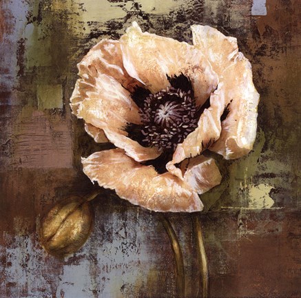 Framed Papaver I - mini Print