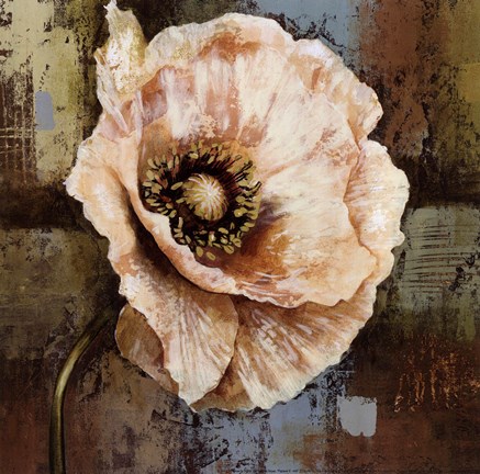 Framed Papaver II - mini Print
