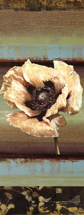 Framed Elemental Poppy I - mini Print