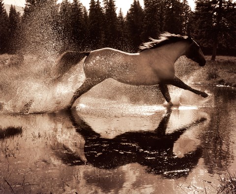 Framed Running on Water III Print