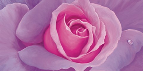 Framed La vie en rose Print