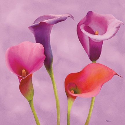 Framed Carezze Print