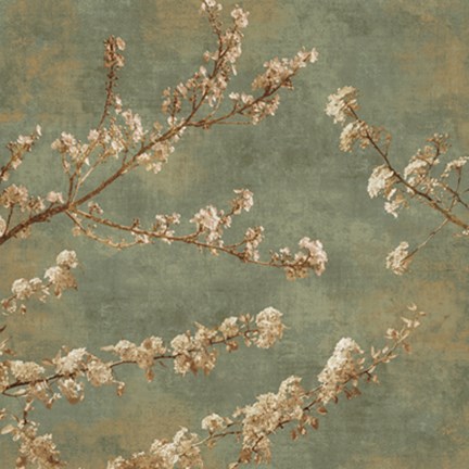 Framed Morning Blossom II Print