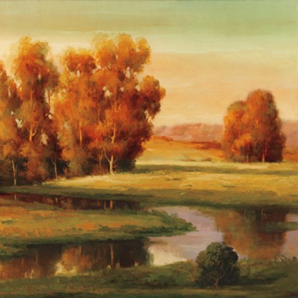 Framed Serene I Print