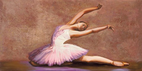 Framed Swan Lake Print