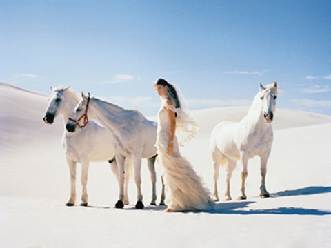 Framed White Sands Print