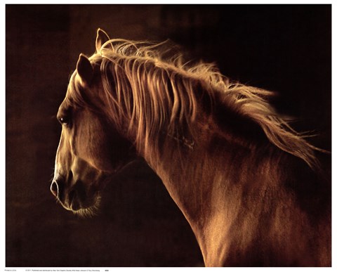 Framed Wild Heart Print