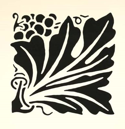 Framed Graphic Beauty IV Print