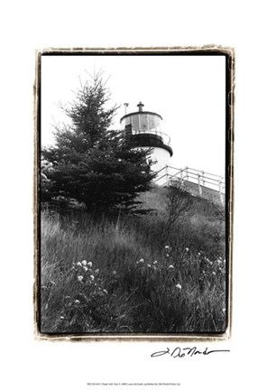 Framed Owl&#39;s Head with Tree Print