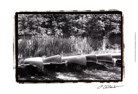 Framed Lake Living IV Print