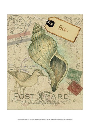 Framed Postcard Shells II Print