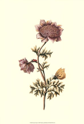 Framed Flora &amp; Fauna I Print