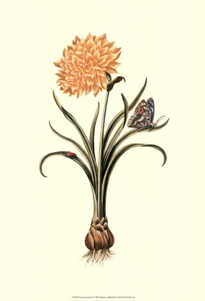 Framed Flora &amp; Fauna III Print