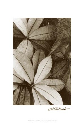 Framed Garden Textures I Print