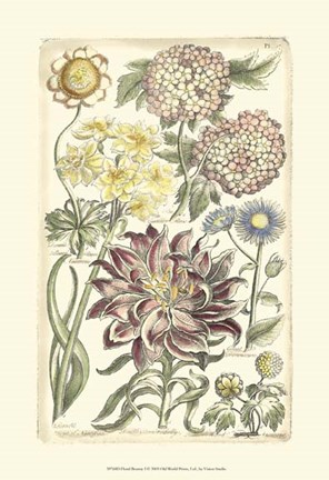 Framed Floral Bounty I Print