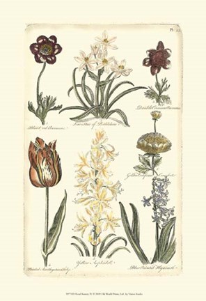 Framed Floral Bounty IV Print