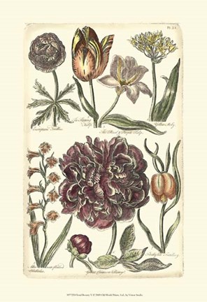 Framed Floral Bounty V Print