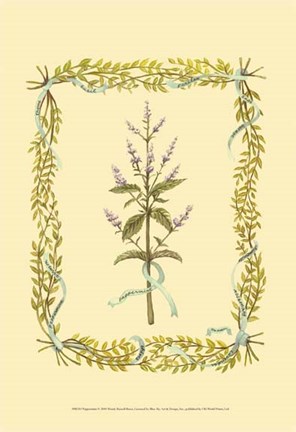 Framed Peppermint Print