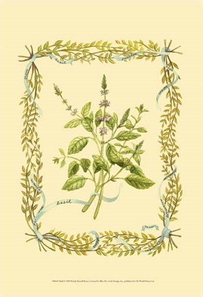 Framed Basil Print