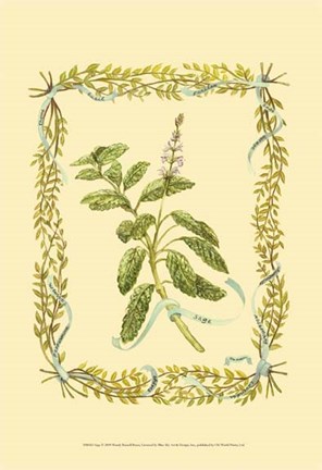 Framed Sage Print