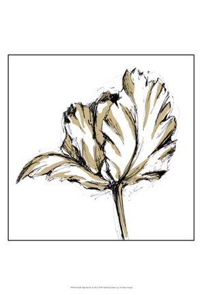 Framed Small Tulip Sketch III Print