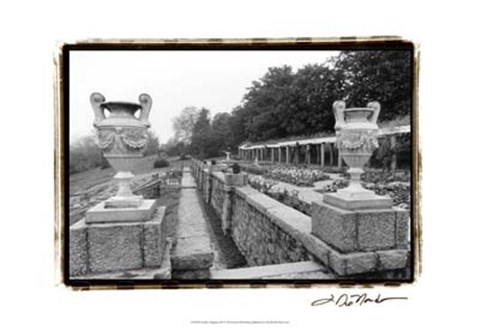 Framed Garden Elegance III Print