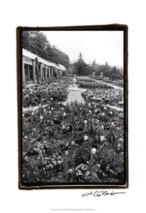 Framed Garden Elegance VIII Print