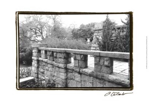 Framed Garden Grace I Print