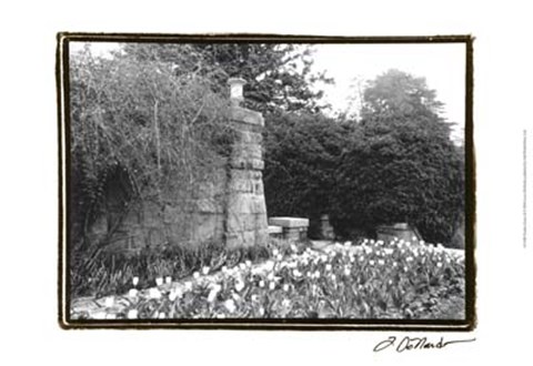 Framed Garden Grace II Print