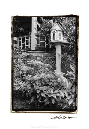 Framed American Breeze V Print