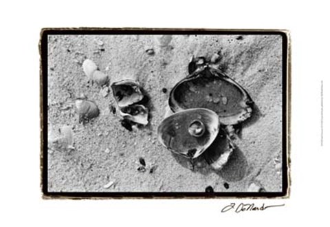 Framed Sand Treasures II Print