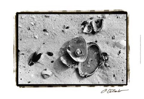 Framed Sand Treasures III Print