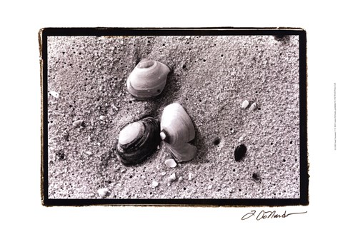 Framed Sand Treasures V Print