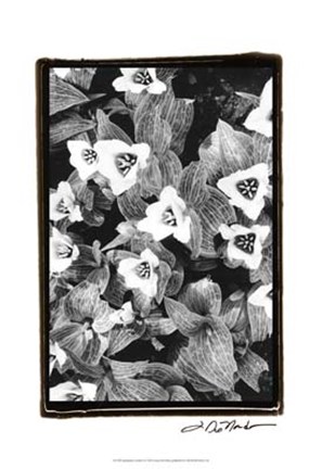 Framed Springtime Garden I Print