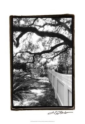 Framed Summer Shade I Print