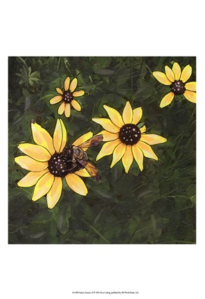 Framed Indian Summer II Print