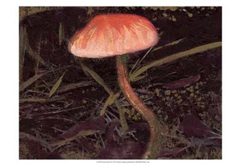 Framed Forest Floor II Print