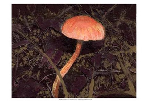 Framed Forest Floor III Print