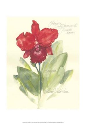 Framed Elissa&#39;s Garden I Print