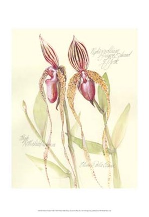 Framed Elissa&#39;s Garden VIII Print