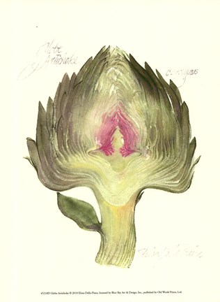 Framed Globe Artichoke Print